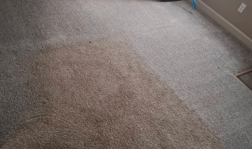 Daniel Carpet Cleaning